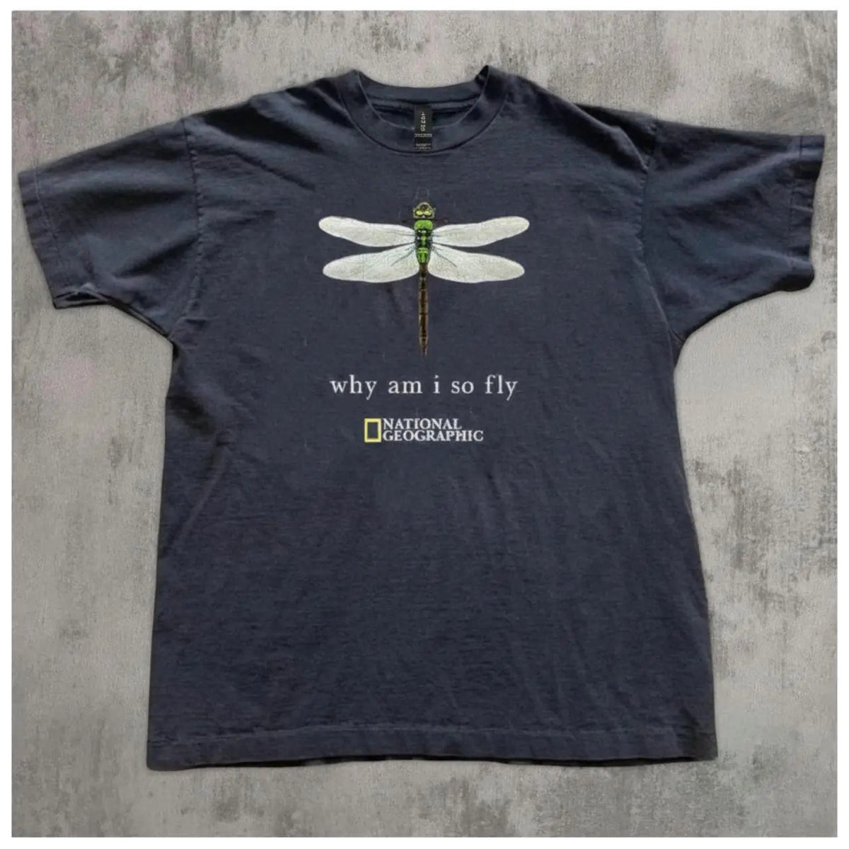 Gildan Men's Women's Black T-shirt, National Geographic “Why Am I So Fly” Dragonfly Graphic T-Shirt, Gifts Shirt, Unisex Vintage Graphic Tees Gothic Grunge Y2k Emo Scene Amity Affliction Style Clothes Men Women Streetwear